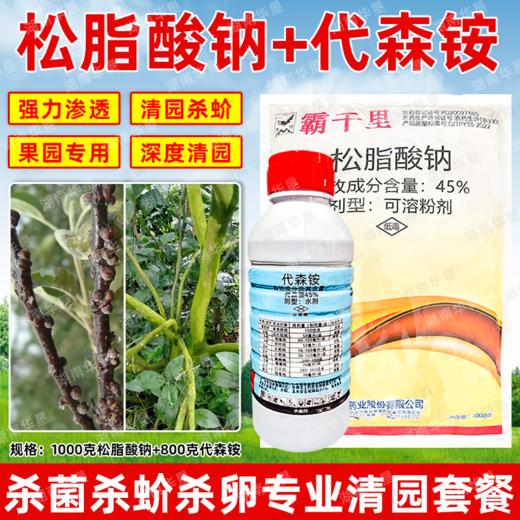 大鹏松脂酸钠升级版苍穹剑代森铵组合蚧壳虫介壳虫害虫果树清园剂 商品图4