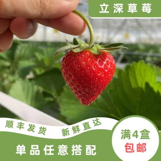 蜜铃铛 商品图0