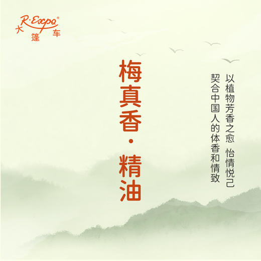 梅真香·精油 古风香调 适用护体香护手油润发丝大篷车精油 商品图3