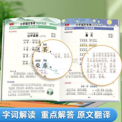 2025年新版同步阅读练字帖人教版一二三年级小学生语文同步字帖数学计算四五六年级专项同步练字训练阅读理解素材积累提升写作技巧 商品图3