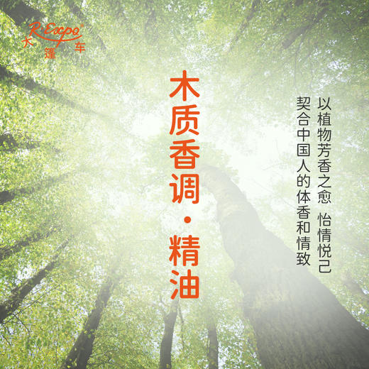 木质香调·精油 植物精油香氛 适用香水 护肤洗护产品 大篷车精油 商品图3
