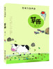 《老舍作品精选》全6册（ 草原 北京的春节 猫 母鸡 济南的春天入选部编语文教材） 商品缩略图1