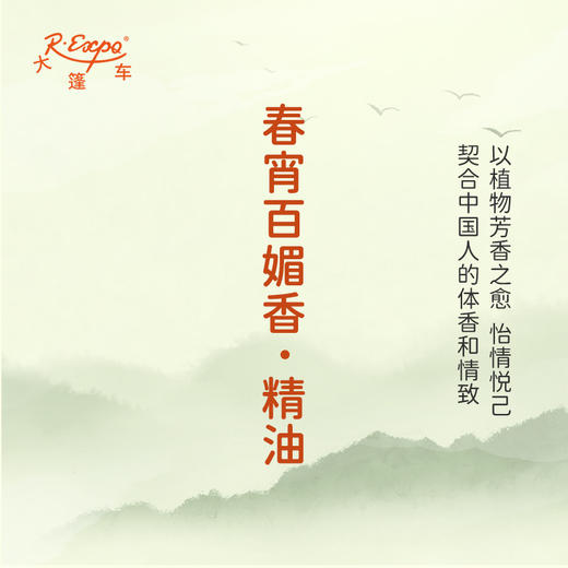 春宵百媚香·精油 古风香调精油 适用香水油护肤护体香 大篷车精油 商品图3