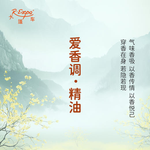 爱香调·精油香氛 适用芳香养身护体香护肤 私定产品 大篷车精油 商品图1