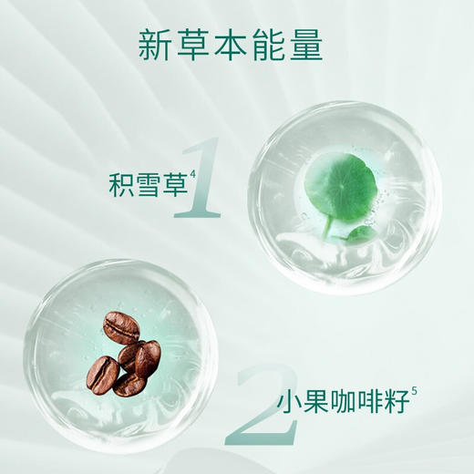 百雀羚帧颜淡纹修护眼霜15g（8624750） 商品图3