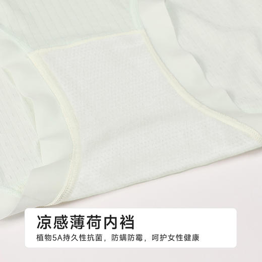 都市丽人宽版包覆系列锦提花宽版包覆平角裤LKH5H3 商品图7