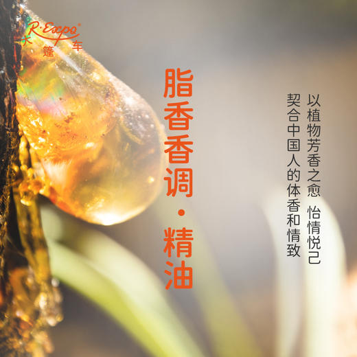 脂香香调·精油 植物精油适用香水护肤洗护产品空间香氛 大篷车精油 商品图3