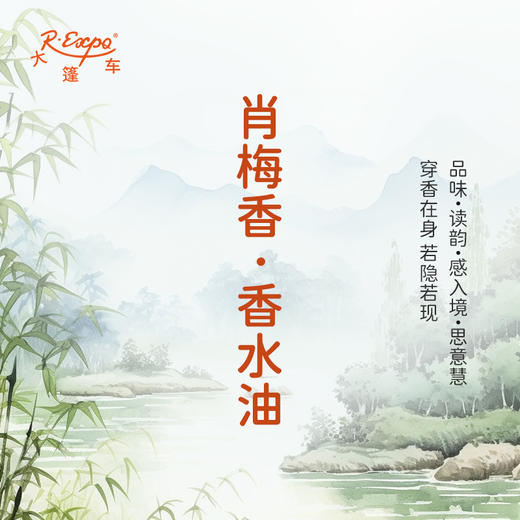 肖梅香香水油  古风香调 植物精油香氛 适用护体香 护手油 润发丝 大篷车精油 商品图1