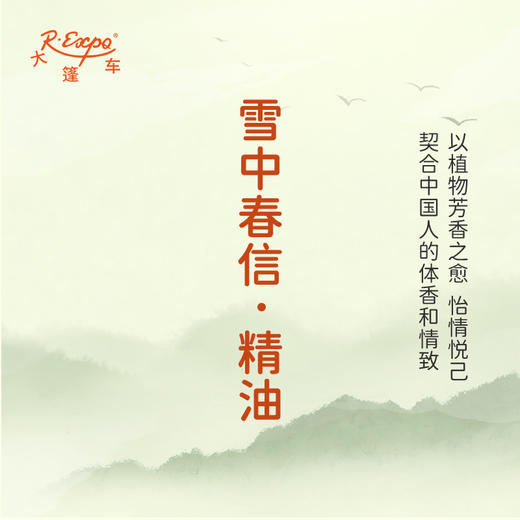 雪中春信·精油 古风香调精油 适用古风香膏香水护肤品护体香大篷车精油 商品图3