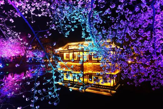 【约惠专线】3.24/3.26确定出发【烟花三月下江南】华东赏樱6天摄影<超特惠团> 商品图10