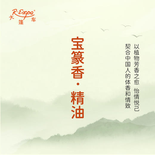 宝篆香·精油  古风香调 适用护体香护手油润发丝大篷车精油 商品图3
