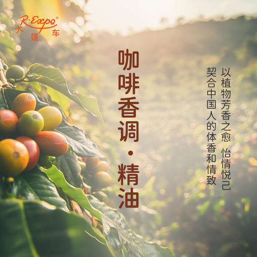 咖啡香调·精油 植物精油适用香水 护肤洗护产品 大篷车精油 商品图3