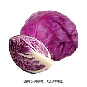 紫甘兰（精包）(700±100g)甘蓝