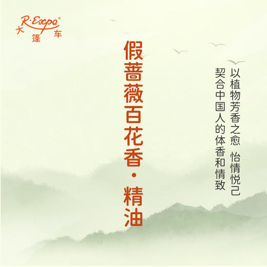 假蔷薇百花香·精油 古风香调 适用护体香护手油润发丝大篷车精油 商品图3