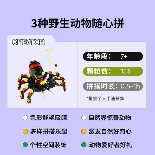 乐高 LEGO野生动物：惊奇蜘蛛LEGC31159 商品图2