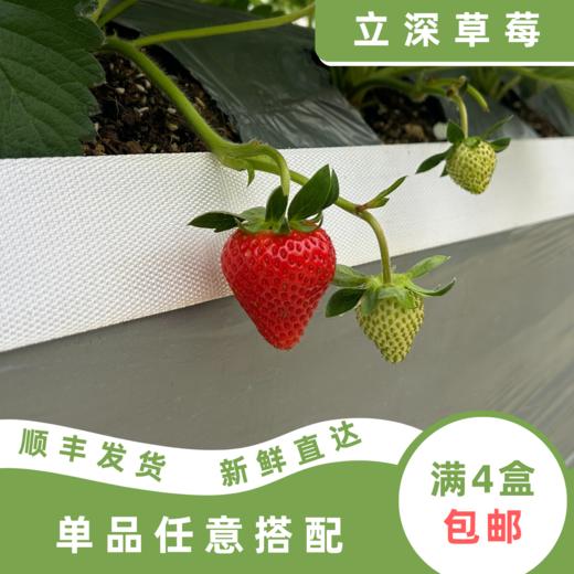 蜜铃铛 商品图1