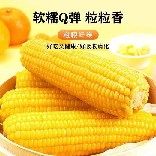 鲜糯玉米2.5kg 商品图2