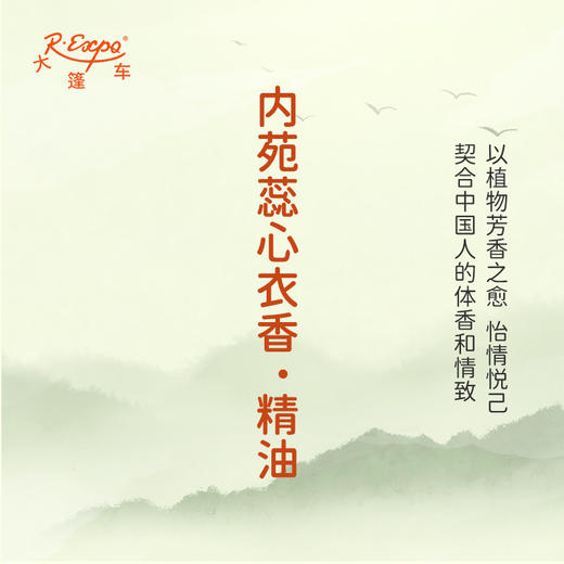 内苑蕊心衣香·精油 古风香调 适用护体香护手油润发丝大篷车精油 商品图3
