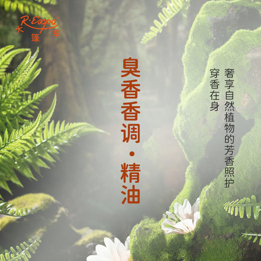 臭香香调·精油 香氛香调精油适用香水油护肤品护体香 大篷车精油 商品图2