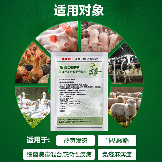 【板青克喘宁】肺热咳喘 清热解毒 宣肺平喘 呼吸道 500g 商品图2