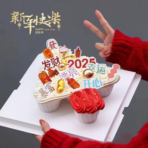 『新年许愿树』1磅 商品图0