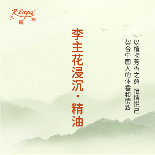 李主花浸沉·精油 古风香调 适用护体香护手油润发丝大篷车精油 商品图3