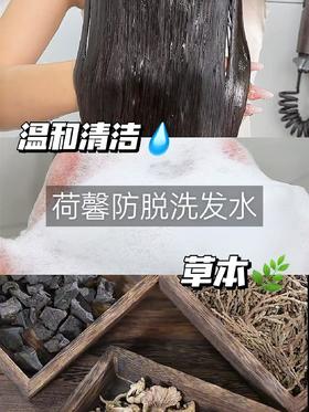 上油下干还秃头？！来试试荷馨!