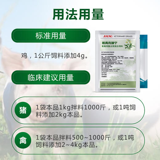 【板青克喘宁】肺热咳喘 清热解毒 宣肺平喘 呼吸道 500g 商品图7