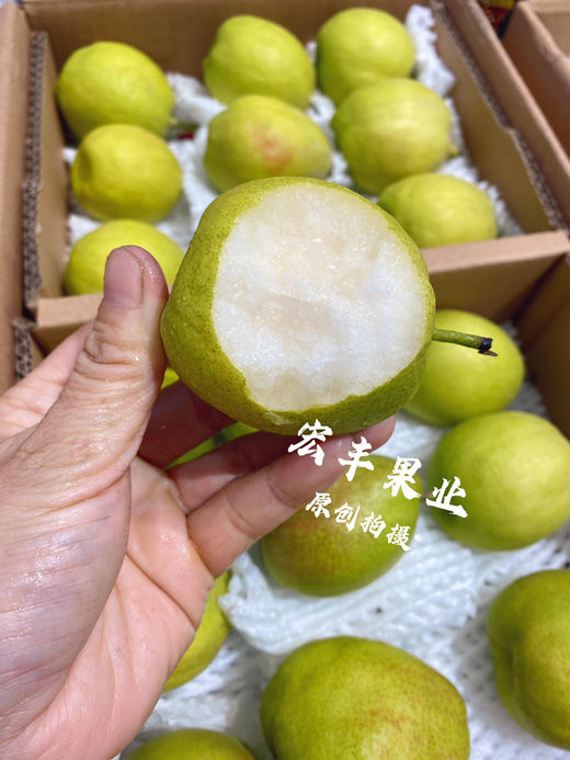 宏丰精选 梨巴庄正宗库尔勒香梨，口感细腻， 商品图2