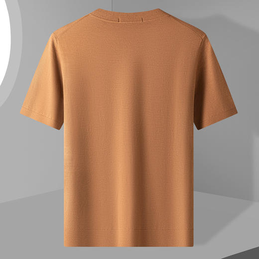 【可机洗100精纺羊毛】罗蒙羊毛衫男薄款保暖半高领毛衣男t恤 商品图2