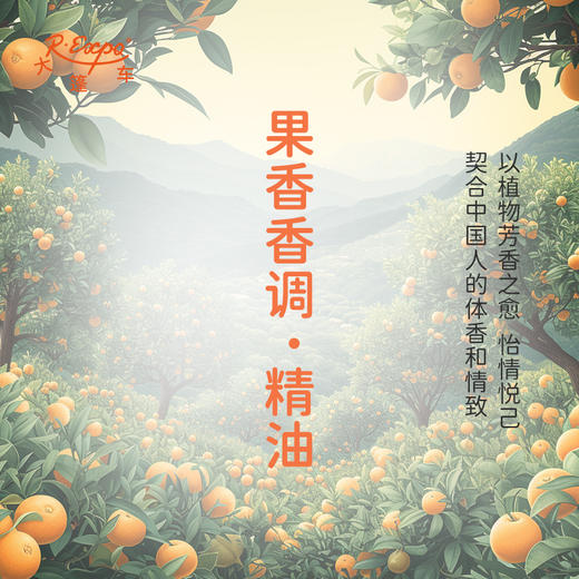 果香香调·精油 植物精油香氛 适用香水 护肤洗护产品 大篷车精油 商品图3
