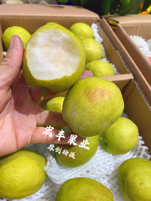 宏丰精选 梨巴庄正宗库尔勒香梨，口感细腻， 商品图0