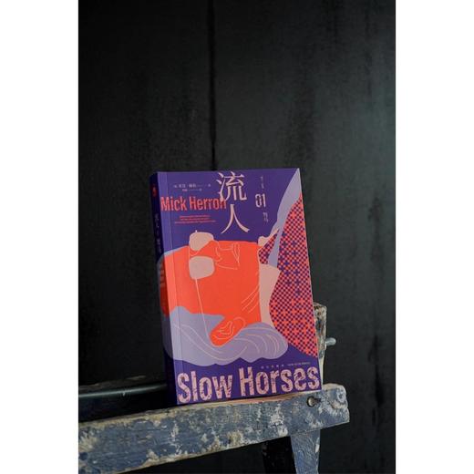 驽马（“流人”系列01） 商品图3