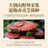 元维正破壁灵芝孢子粉 商品缩略图3