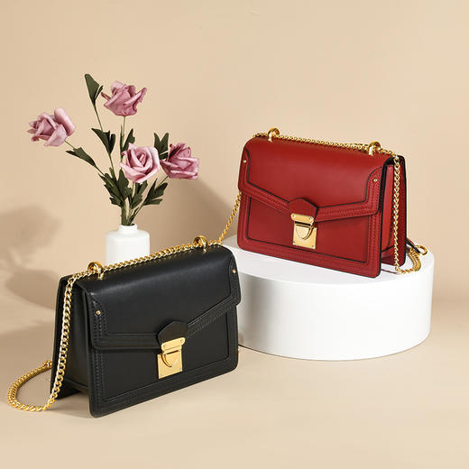 LS/路易施瓦布女包复古气质鎏金扣小方包 商品图4