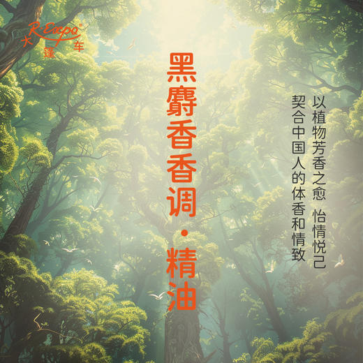 黑麝香香调·精油 香氛香调精油适用香水油护肤品护体香大篷车精油 商品图3