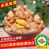 云南文山有机小黄姜 2024年新姜嫩姜新鲜采挖水洗发货 商品缩略图0