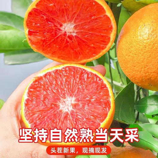 中华红橙 血橙 商品图1