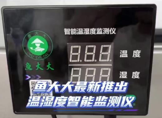 鱼大大智能温湿度监测仪预售 商品图0
