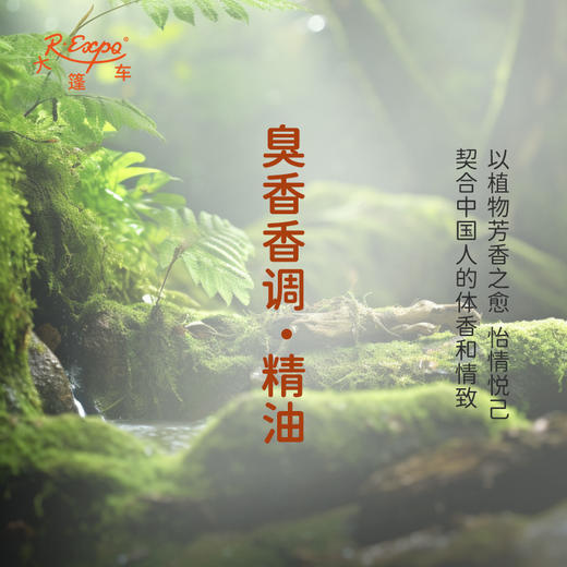 臭香香调·精油 香氛香调精油适用香水油护肤品护体香 大篷车精油 商品图3