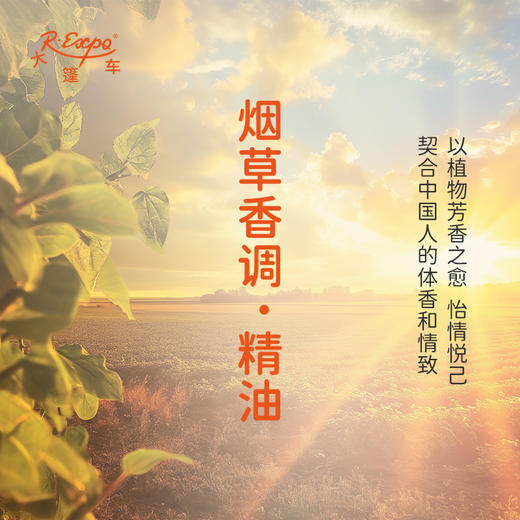 烟草香调·精油植物精油适用香水护肤洗护产品空间香氛 大篷车精油 商品图3