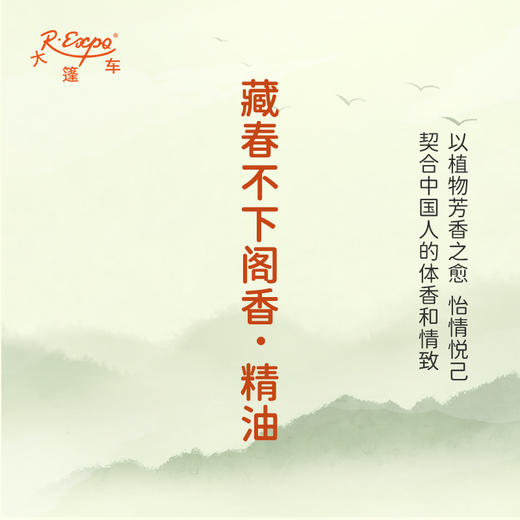藏春不下阁香·精油 古风香调 适用护体香护手油润发丝大篷车精油 商品图3