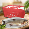 【全国包邮，部分地区除外】产地直发 好余轩丹江鲌锁鲜翘嘴鲌10斤礼盒装 商品缩略图0