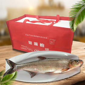 【全国包邮，部分地区除外】产地直发 好余轩丹江鲌锁鲜翘嘴鲌10斤礼盒装