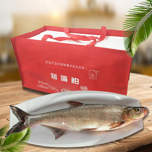 【全国包邮，部分地区除外】产地直发 好余轩丹江鲌锁鲜翘嘴鲌10斤礼盒装 商品图0