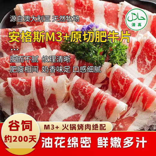 【清真】安格斯M3+肥牛片500±10g 原料原产国-澳大利亚 商品图0