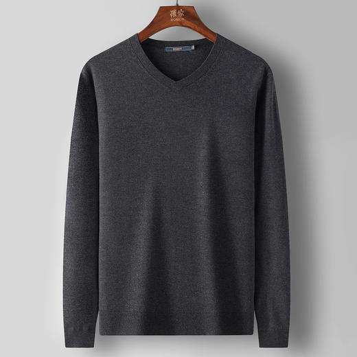 【含桑蚕丝绵羊毛】罗蒙经典常青款针织衫保暖毛衣秋冬打底衫毛衣男 商品图3