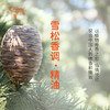 雪松香调·精油 植物精油香氛 适用香水 护肤洗护产品 大篷车精油 商品缩略图3