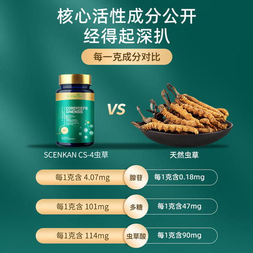 【Z】【肾肺两益】【净肺顺鼻】Scenkan美国进口冬虫夏草片 虫草菌丝体优质送礼滋补品 商品图2