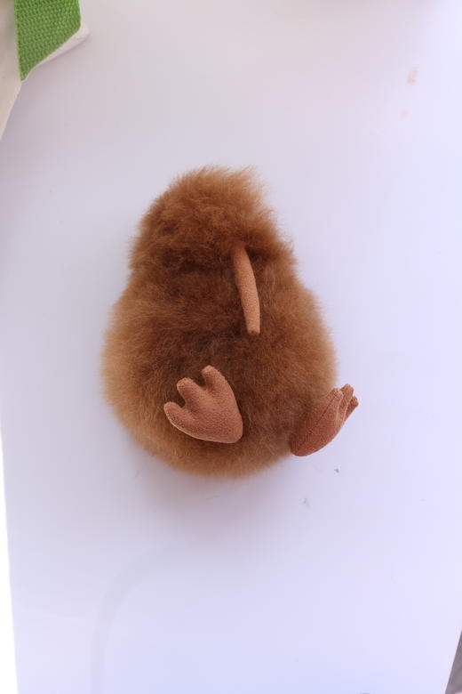 RetroChic | 几维鸟毛绒玩偶挂饰 商品图6